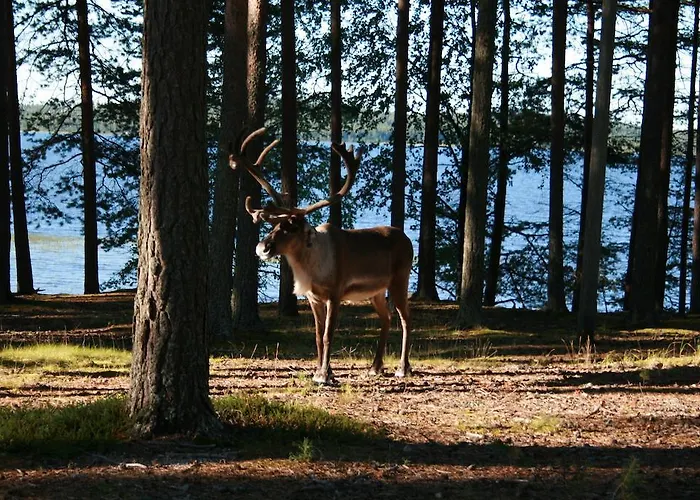 بيت ضيافة Lohijaerven Eraekeskus